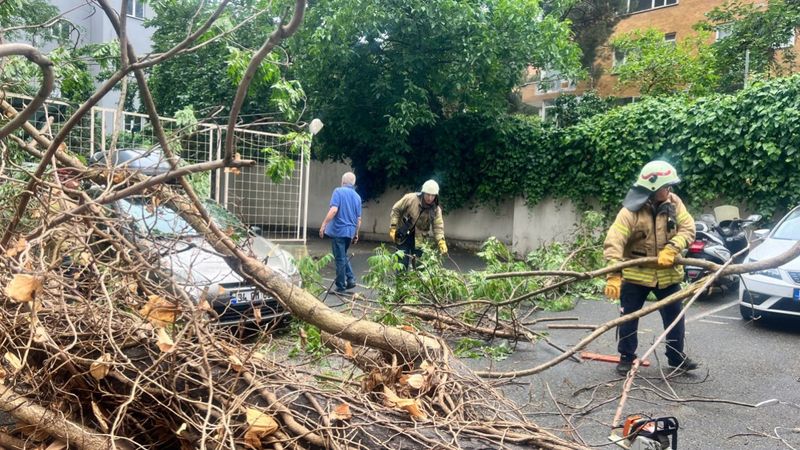 Kadıköy'de yağış sonrasında otomobil üstüne ağaç devrildi