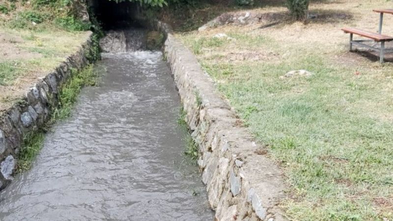 İzmit Körfezi'nde suyun rengi karardı