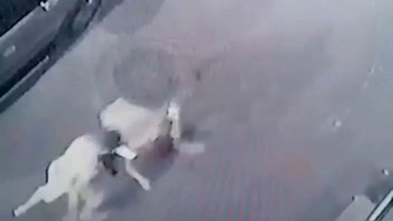 Bayrampaşa'da komşusunu hırsız sanıp dövdü