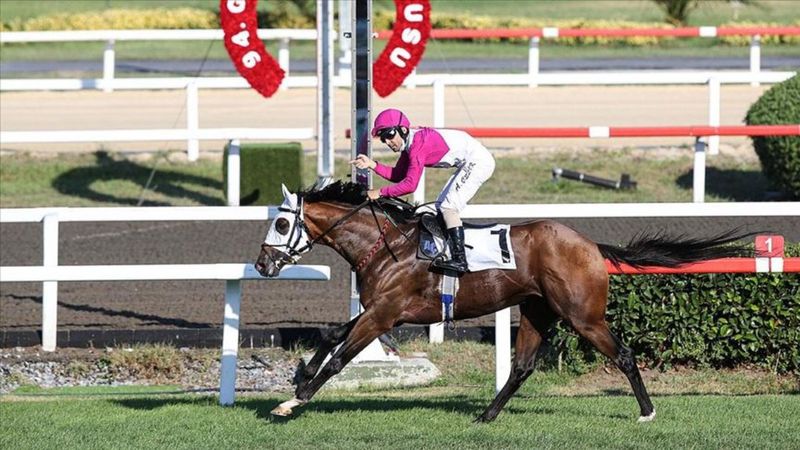 96. Gazi Koşusu ne zaman? 2022 Gazi Koşusu tarihi ve ödülü