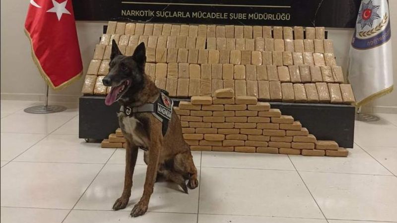 Van'da narkotik köpeği Magnum, 95 kilo 100 gram eroin buldu