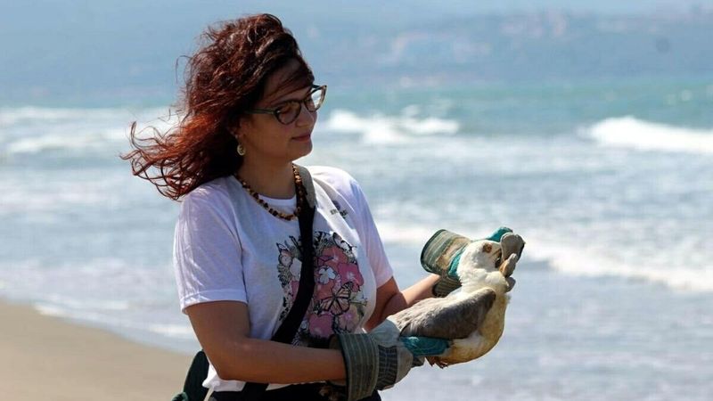 Aydın'da olta iğnesi yutan martıya yardım eli