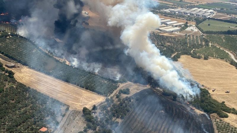 Foça'da çıkan orman yangınına müdahale