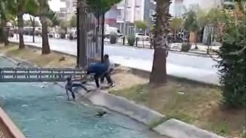 Mersin'de, gençlerin kanala düşen köpeği kurtarma mücadelesi