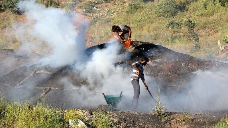 Erzincan'da mevsimlik işçilerin kömür mücadelesi