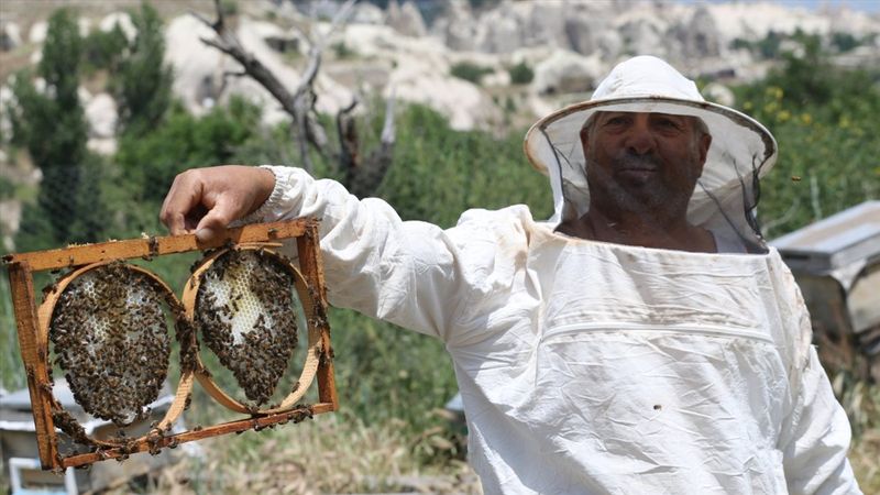 Kapadokyadaki arı üreticisi: Başka iş için para verseler gitmem