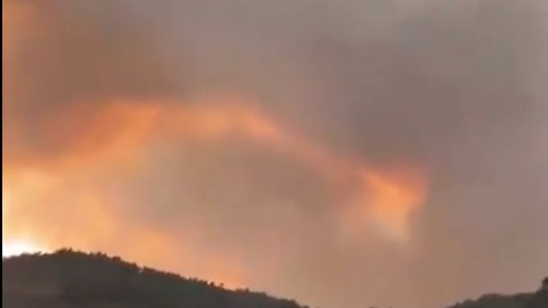 Marmaris'te orman yangını