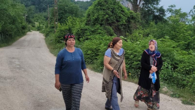 Kastamonu'da ayılar gündüz vakti yerleşim yerlerine inmeye başladı