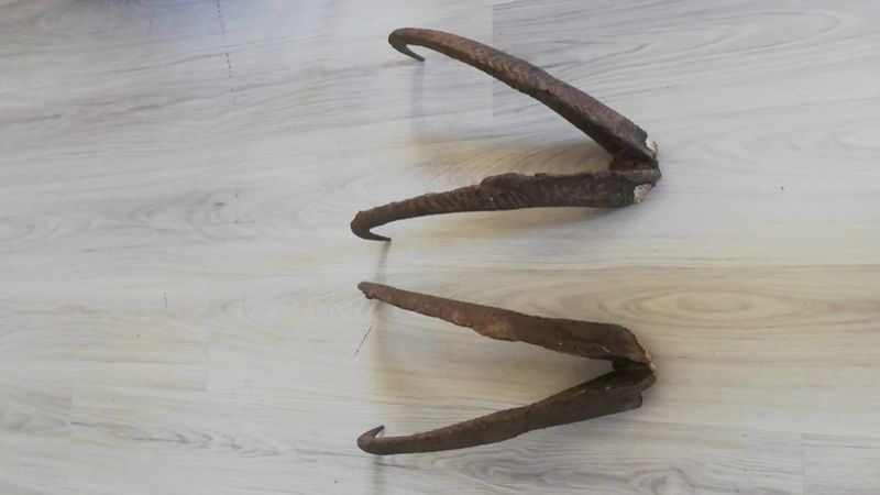 Adıyaman'da evinde boynuz bulunan şahsa 513 bin lira ceza