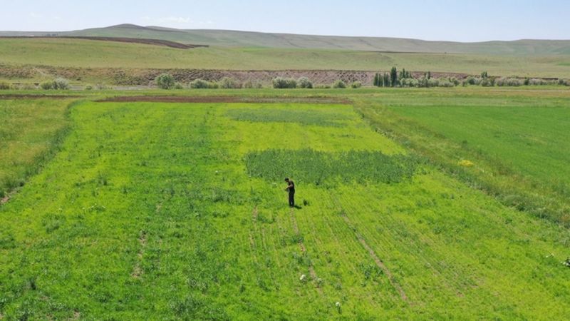 Artvinli Taner öğretmen, Ağrı'da ekilmeyen iki araziyi tarıma kazandırdı