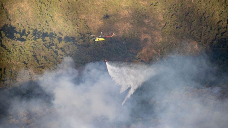 Marmaris'teki orman yangınıyla ilgili soruşturma başlatıldı