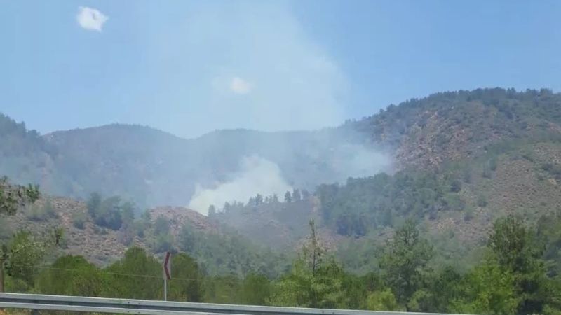 Köceğiz'de ormanlık alanda yangın çıktı