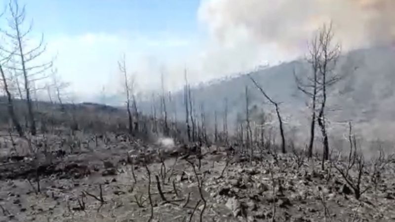 Marmaris yangını hakkında olay yerinden son gelişmeler