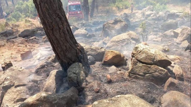 Muğla'daki yangın kontrol altına alındı