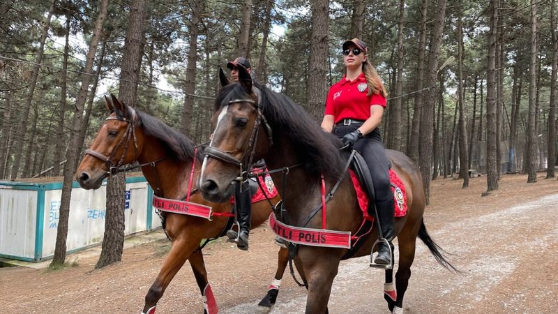 İstanbul'da atlı polisler önleyici yangın denetiminde