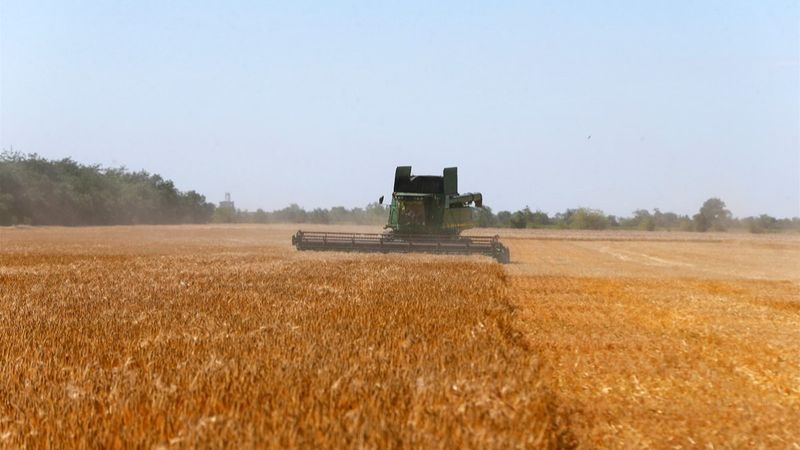 Tahıl krizinde harekat merkezi İstanbul'da kurulacak