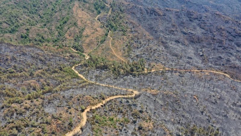 Marmaris yangınının büyümemesinde emniyet şeridi etkili oldu