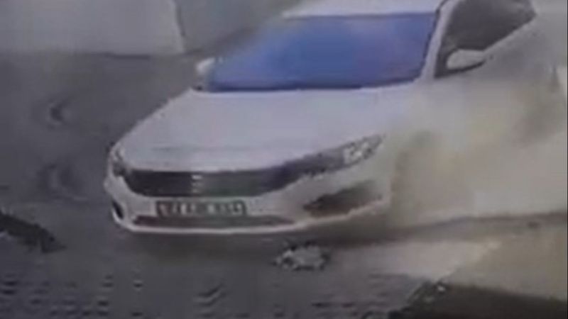 Antalya'da aracıyla kedinin üstünden geçti