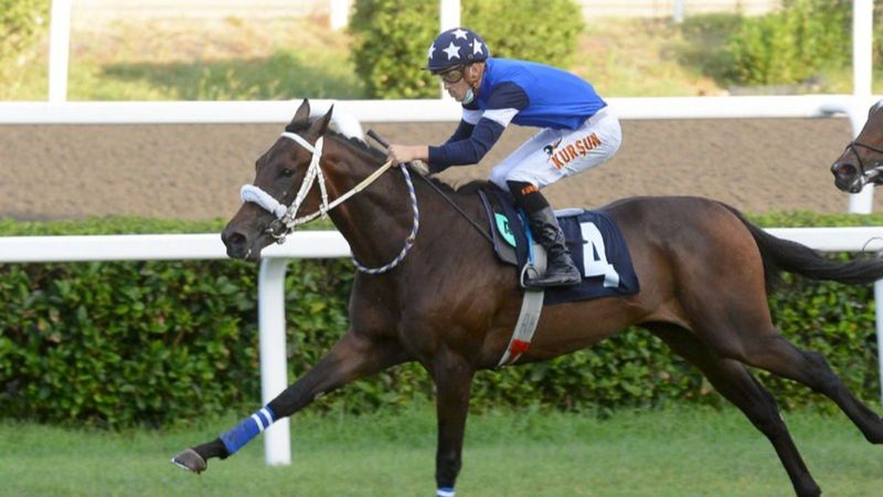 Gazi'de sakatlanan Dollar Man, uyutulacak