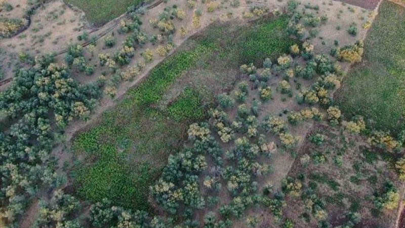 Diyarbakır'da Eren Abluka-19 operasyonu başlatıldı