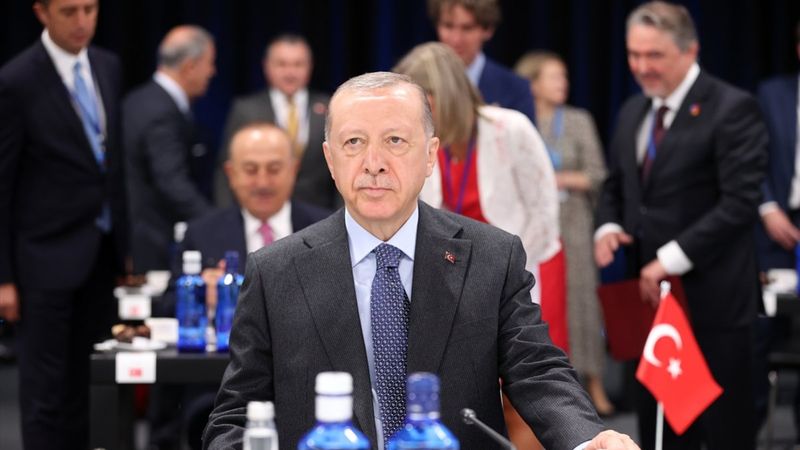 Cumhurbaşkanı Erdoğan, NATO liderlerine 'terörün gerçek yüzü' videosu izletti