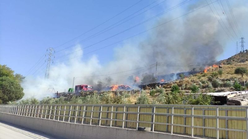 İzmir’de Bergama ve Dikili’de yangın