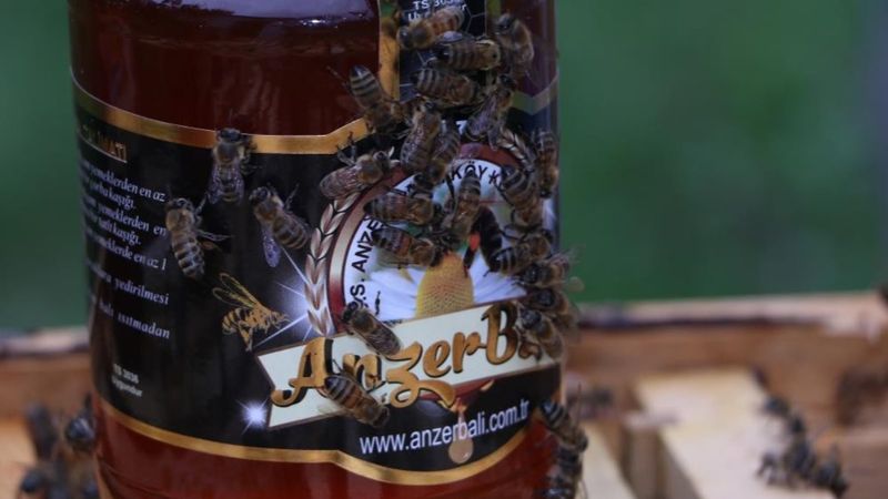 Rize'nin Anzer balının kilosu 2 bin lira