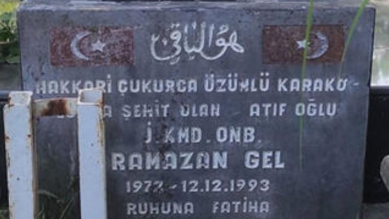 Düzce'de şehit mezarının bayrak direğini çaldılar