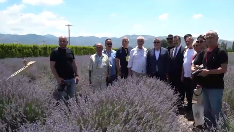 Kaz Dağları eteklerinde, Aromaterapi Festivali