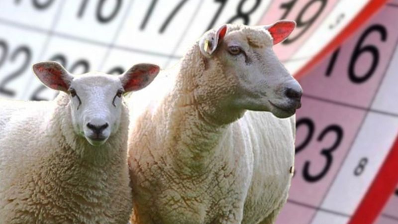 Kurban Bayramı arifesi resmi tatil mi? 8 Temmuz Cuma 2022...