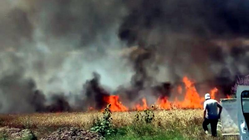Tekirdağ'da buğday tarlası yandı, 50 dönüm alan kül oldu