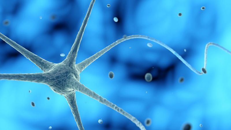 Uzun ömrün sırrı vagus siniri hakkında 6 şaşırtıcı gerçek