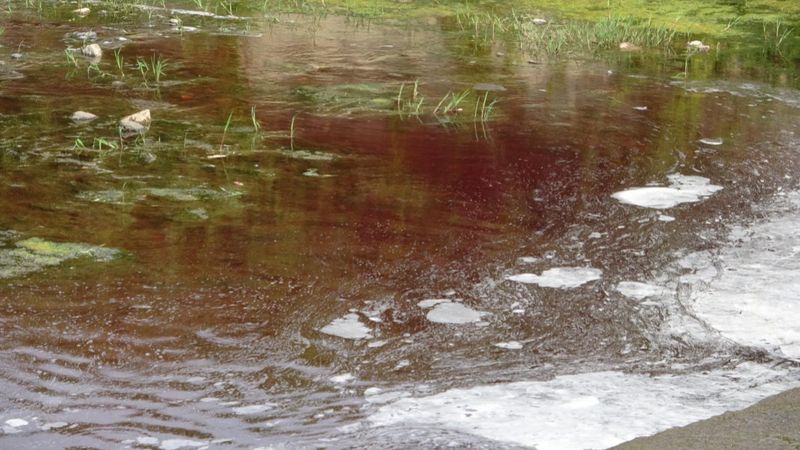 Kocaeli'de deredeki suyun rengi kırmızıya döndü