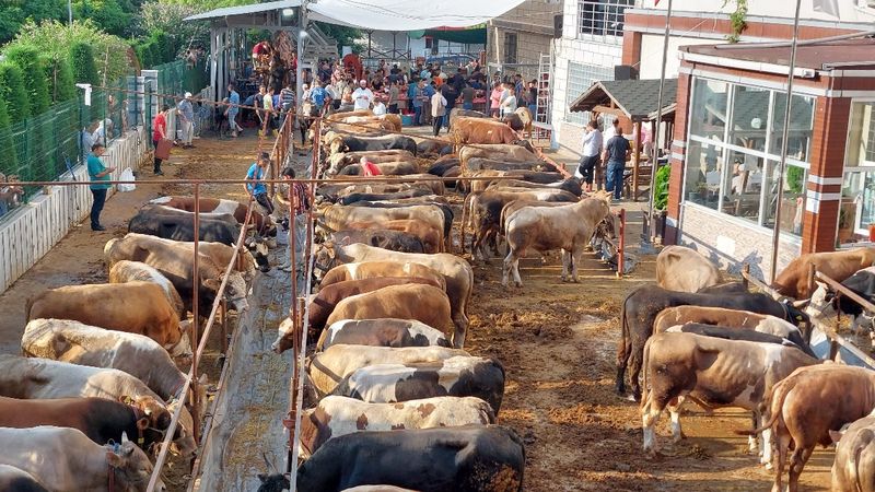 İstanbul'daki vatandaşlar kurbanlık kesimlerine başladı