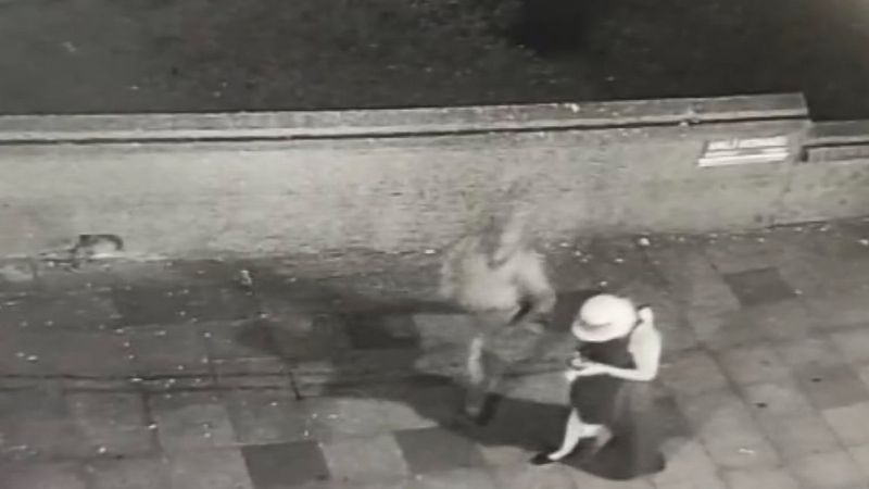 Şişli’deki kapkaççıyı, komiser scooterle sokak sokak gezip yakaladı