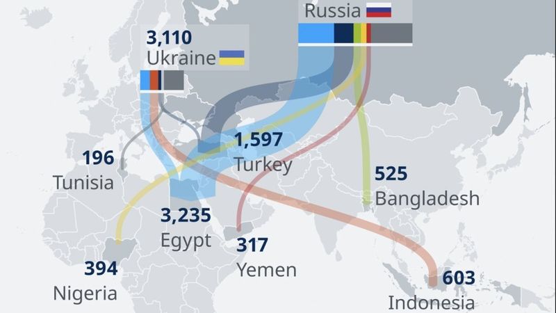 Karadeniz'de tahıl koridoru görüşmesi yarın İstanbul'da yapılacak