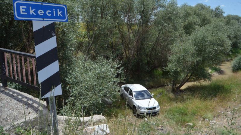 Aksaray'da göğsünden arı sokan şoför kaza yaptı