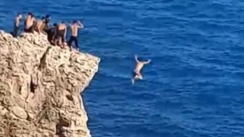 Antalya'da falezlerden atlayan genç: Atlamazsan adam değilsin dediler