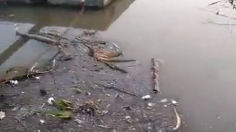 Haliç'teki kirlilik, kameraya yansıdı