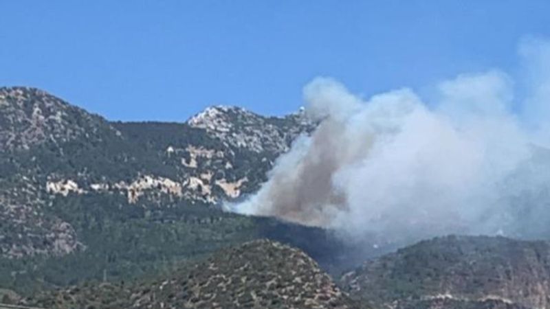 Datça'da ormanlık alanda yangın çıktı