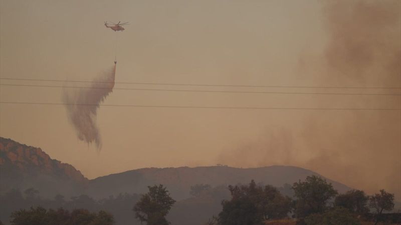 Orman Genel Müdürlüğü'nden ağaçlandırma açıklaması