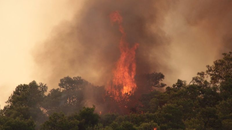 Meteoroloji’den Muğla’ya orman yangını uyarısı