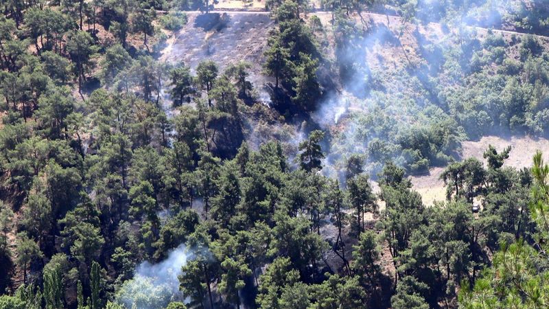 Manisa'daki yangında 10 dönüm alan zarar gördü