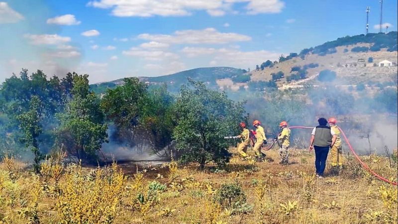 Denizli'de 15 dekarlık ormanlık alan küle döndü