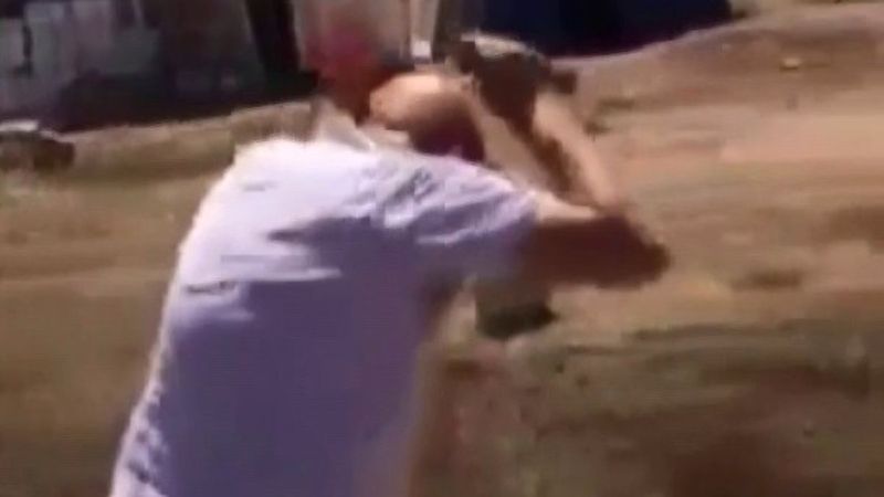 Erzurum'da dede mesleği diyerek arıların saldırısına uğradı