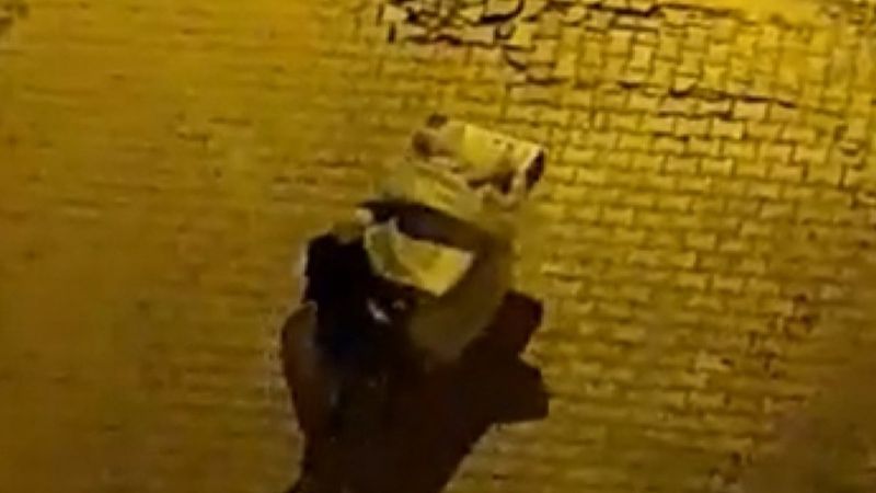 Elazığ'da çaldığı televizyonu naylonla gizleyip el arabasıyla götürdü