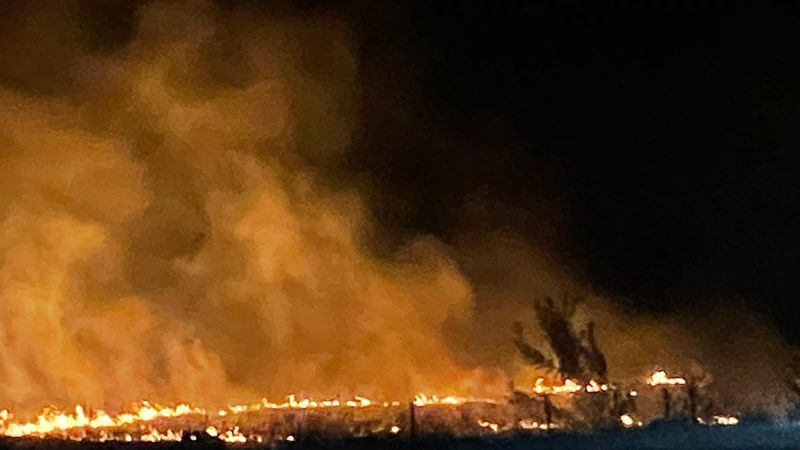 Bursa'da leylek sürüsü, anız yangınına neden oldu