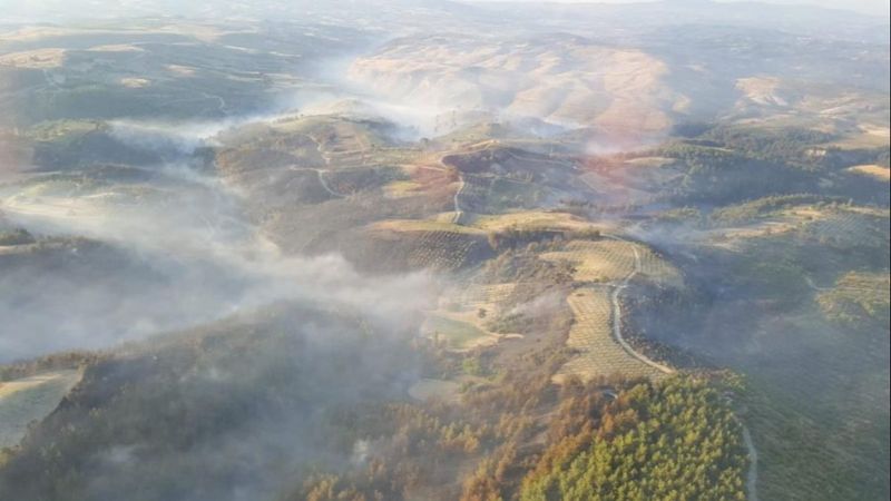 Manisa'daki orman yangını 17 saatin ardından kontrol altına alındı
