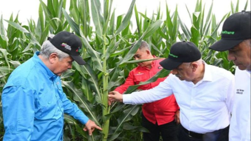 Vahit Kirişci Venezuela'da toprak bakıyor