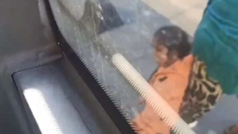 Sarıyer'de çocuğunu döverek otobüsten atan kadına yolcular tepki gösterdi